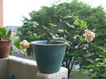 Souv.DV 080523-12i.jpg